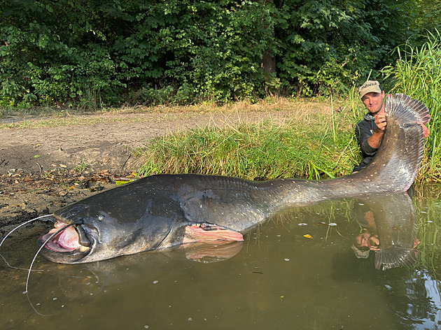Kde se to zastaví? Vágner po dvou týdnech zase pokořil rekord, sumec měřil 272 cm