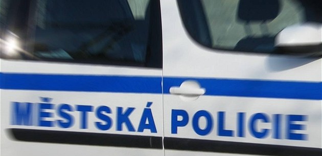 Muž onanoval u dětského hřiště. Strážníkům tvrdil, že se jen drbal kvůli teplu