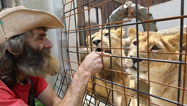 Humpolec zabavil zvířata v soukromém zookoutku, tygři se nekontrolovaně množili