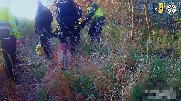 Myslivec šel na posed, po uklouznutí však přes noc uvázl v kukuřičném poli