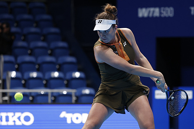 POHLED: Naděje vylétly, hvězdy potřebují zdraví. A český tenis se nemusí bát