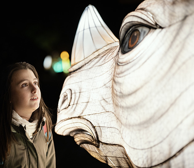 OBRAZEM: Svítící lev i panda. Pražskou zoo rozzáří Divoká Asie, láká i na novinku