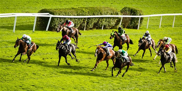 Stát a závodiště Chuchle podepíšou novou nájemní smlouvu. Jen na jeden rok