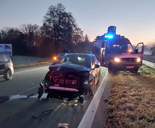 Hromadná nehoda kvůli srážce s jelenem. Frekventovaný tah v Ostravě stál