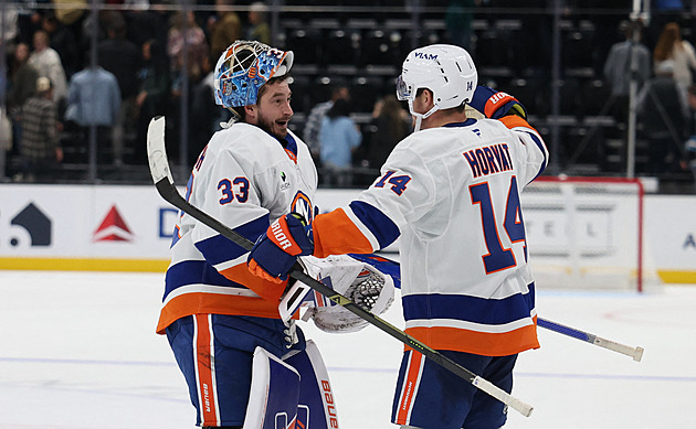 Rittich slavil výhru na ledě Dallasu, Hertl s Klapkou v NHL asistovali