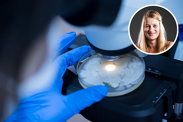 Závod s bakteriemi. Potenciál antibiotik z Antarktidy je fascinující, tvrdí vědkyně