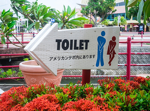 Japonsko chce skoncovat s frontami na dámských WC, řešilo i profil uživatelek