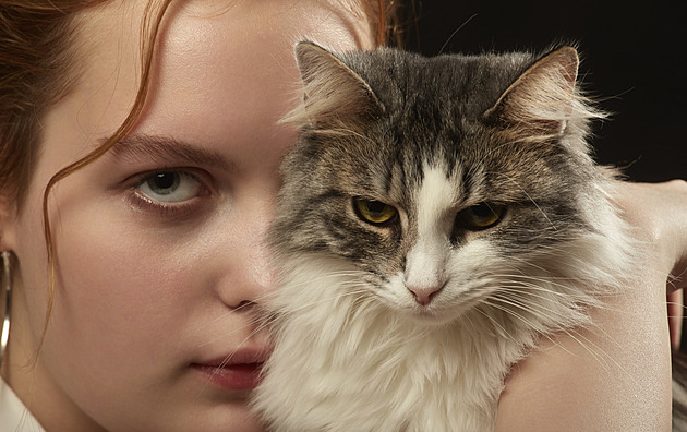 Příběh Dominiky: Miluju ho, ale nemůžu žít s jeho kočkou. Jsem na ni alergická