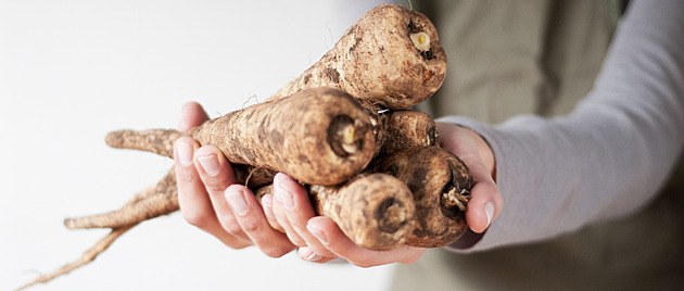 Pastinák se vrací na scénu. Naučte se využít tuhle levnou surovinu naplno